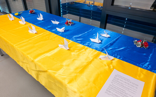 Boje rata i nade: crteži ranjenog djetinjstva 11